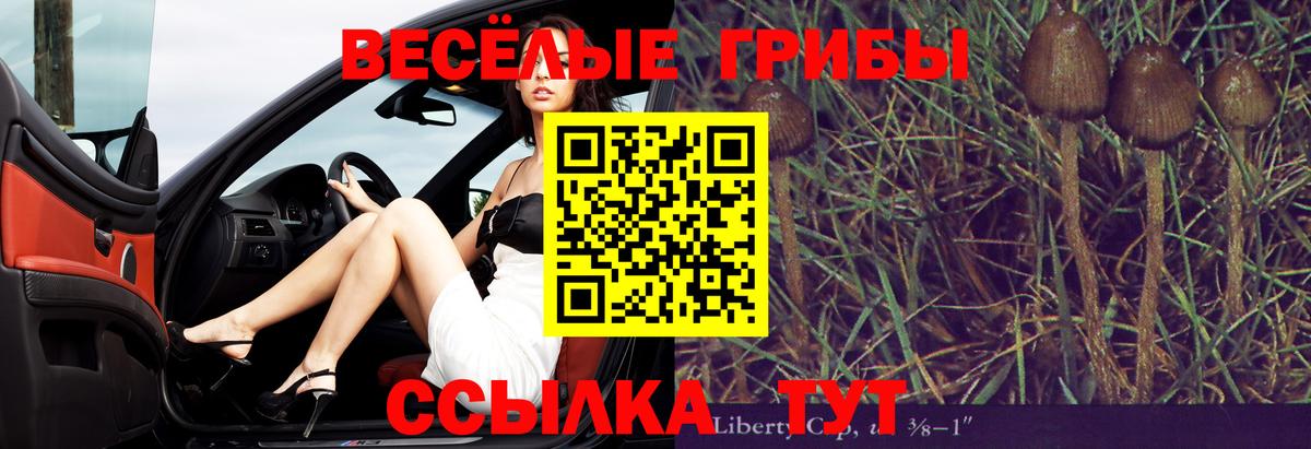 Галлюциногенные грибы мухоморы Славянск-на-Кубани