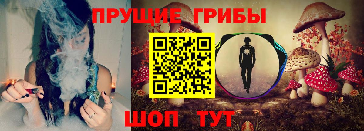 Славянск-на-Кубани  Псилоцибиновые грибы мухоморы  Псилоцибиновые грибы Psilocybine cubensis  Вход с VPN 